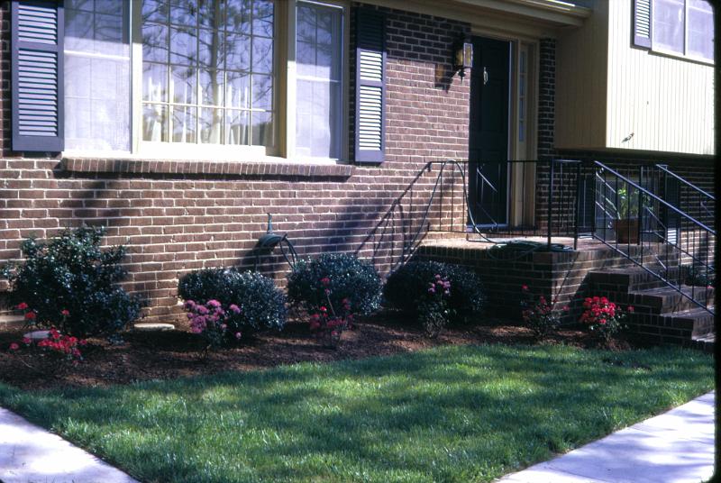 Christmas 1969, 1970, Halloween 1969 3200dpi 091.jpg - processed May 1971